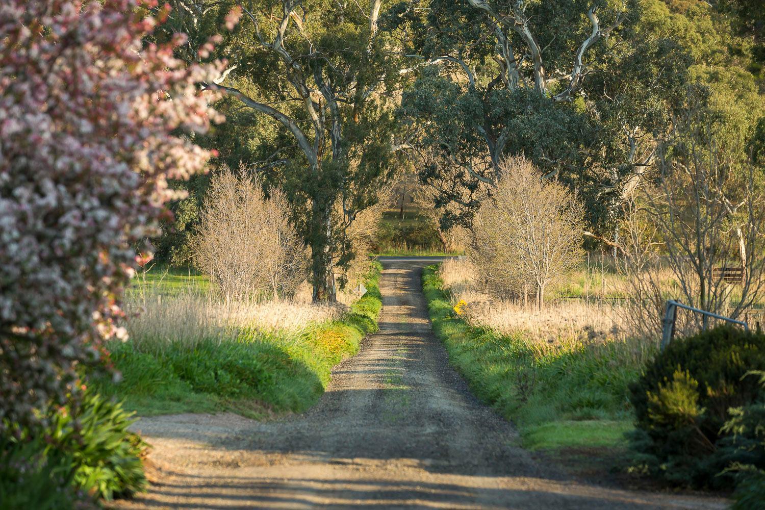 Al Ru Farm Bed & Breakfast One Tree Hill ภายนอก รูปภาพ