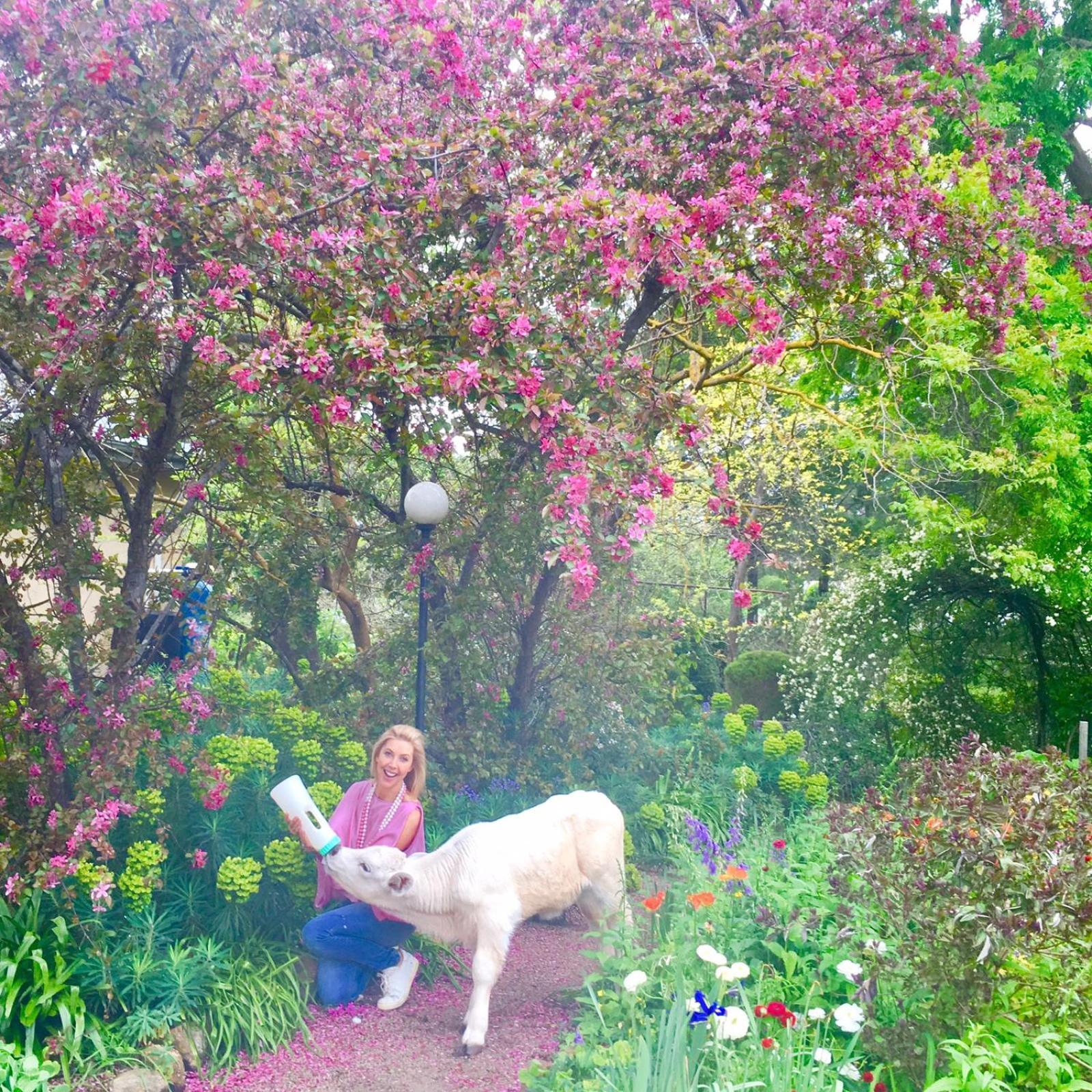 Al Ru Farm Bed & Breakfast One Tree Hill ภายนอก รูปภาพ