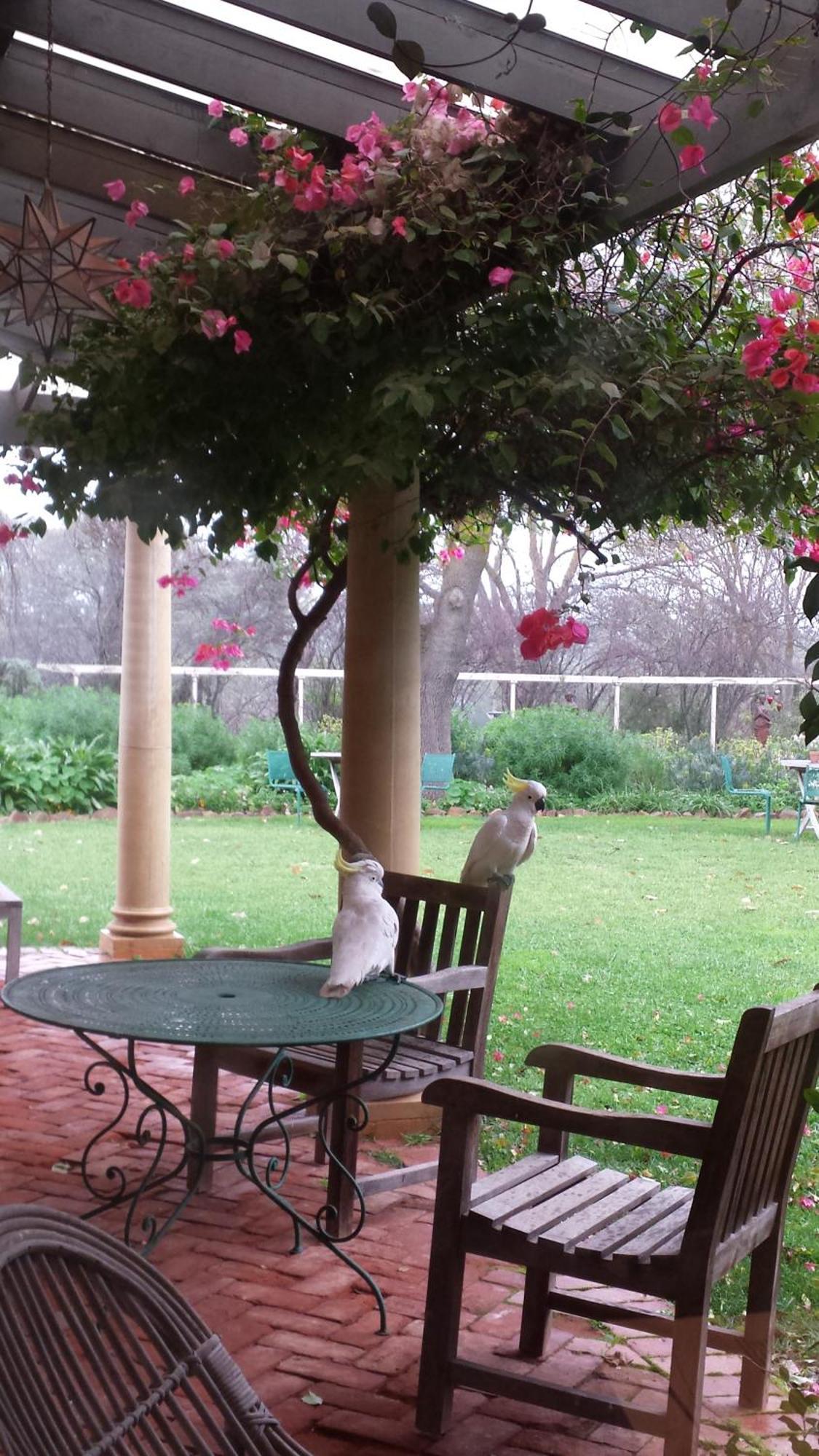 Al Ru Farm Bed & Breakfast One Tree Hill ภายนอก รูปภาพ
