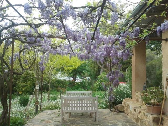 Al Ru Farm Bed & Breakfast One Tree Hill ภายนอก รูปภาพ
