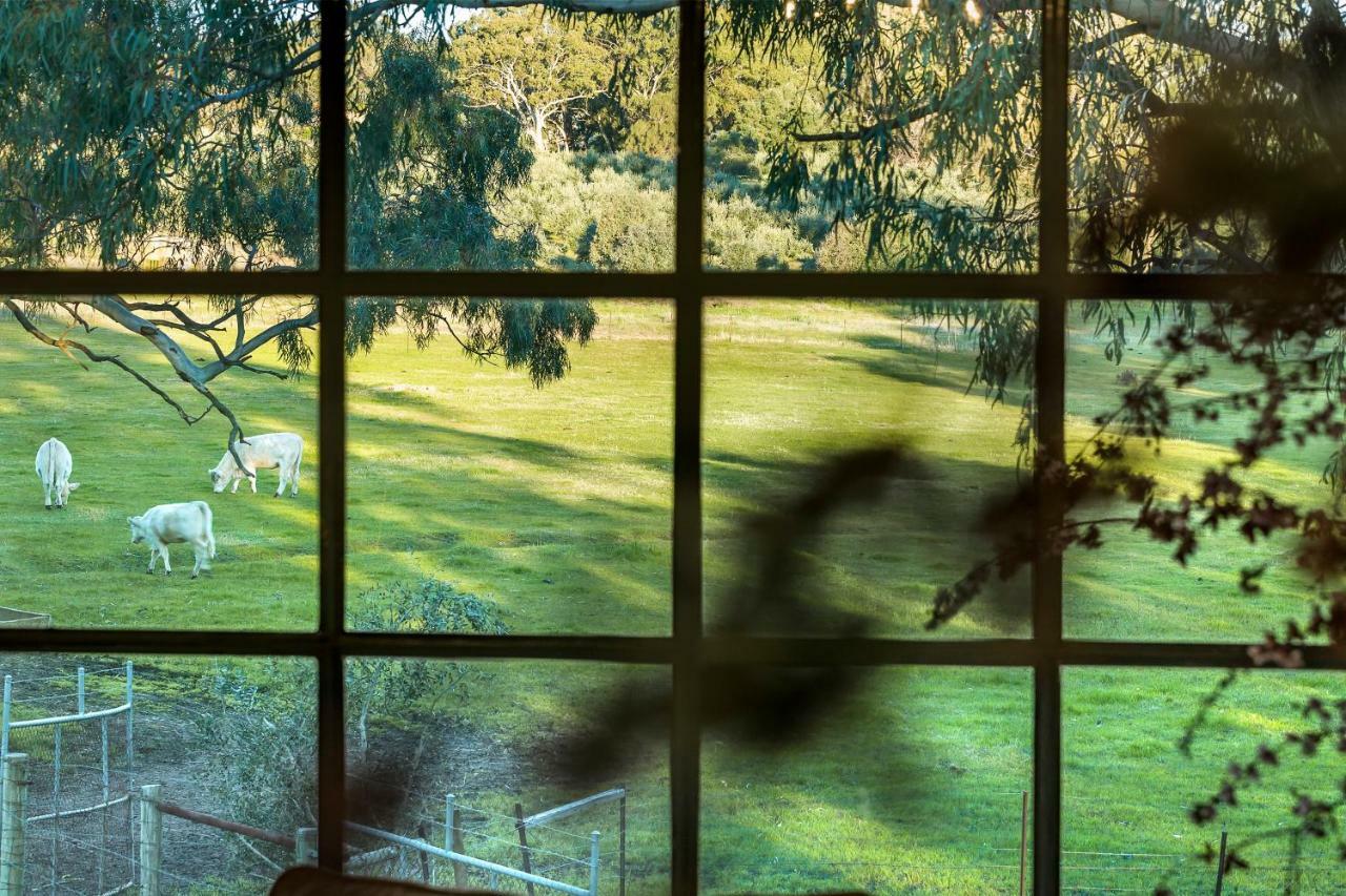 Al Ru Farm Bed & Breakfast One Tree Hill ภายนอก รูปภาพ